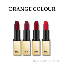 Maquillage coloré couleurs de rouge à lèvres